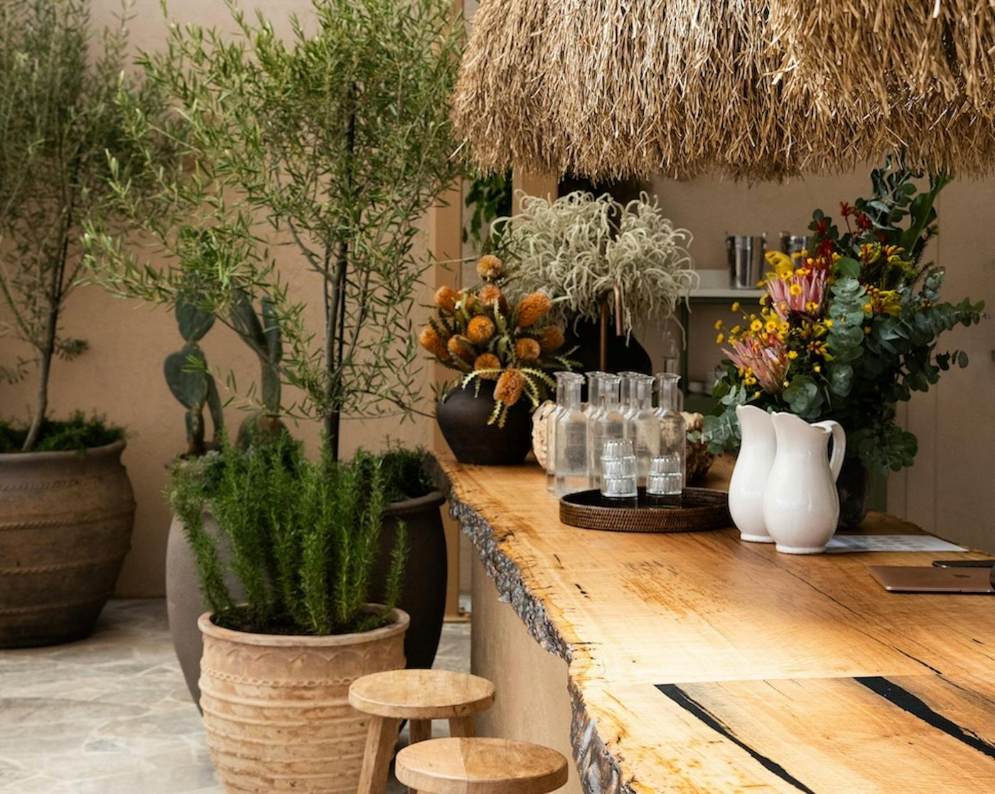 Rattan, timber and olive trees inside Pippis